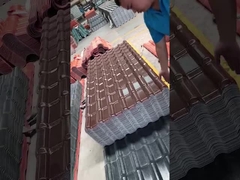 Strati del tetto della resina dell'asa