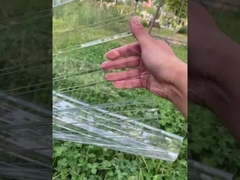 Strato del tetto del policarbonato